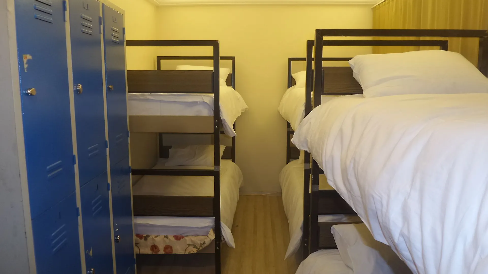 Paxx Istanbul Hotel&Hostel (Adults Only) Hostel